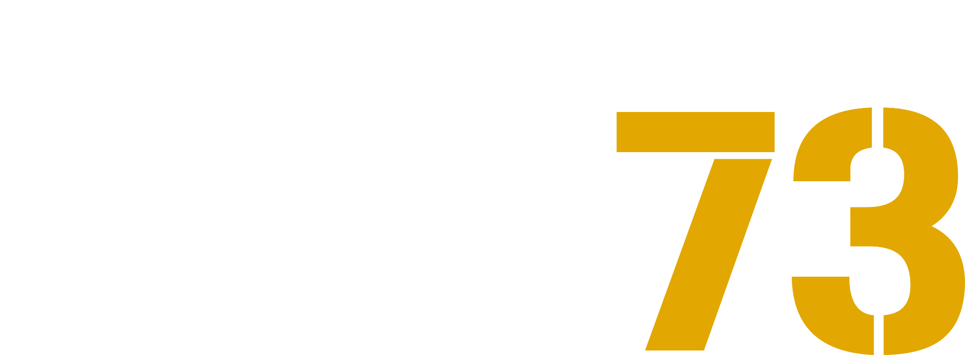 logo box73